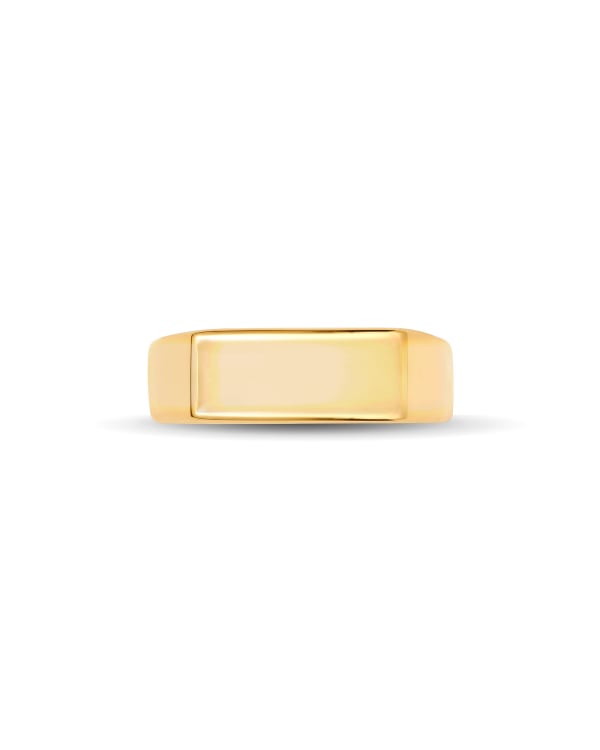 Hudson Signet Ring in 18k Gold Vermeil - view 2